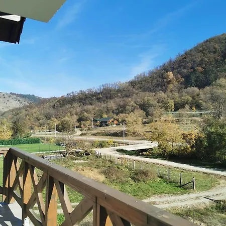 Pensiunea La Nenea Iancu Gasthof Pianu de Sus