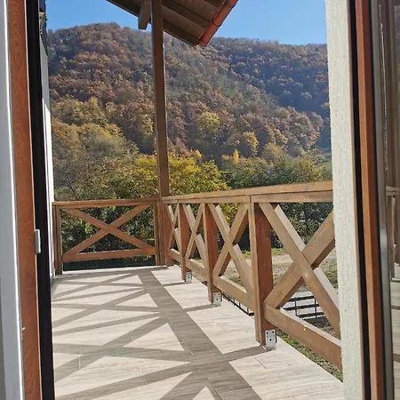 Pensiunea La Nenea Iancu *