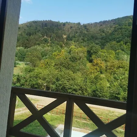 Gasthof Pensiunea La Nenea Iancu Pianu de Sus