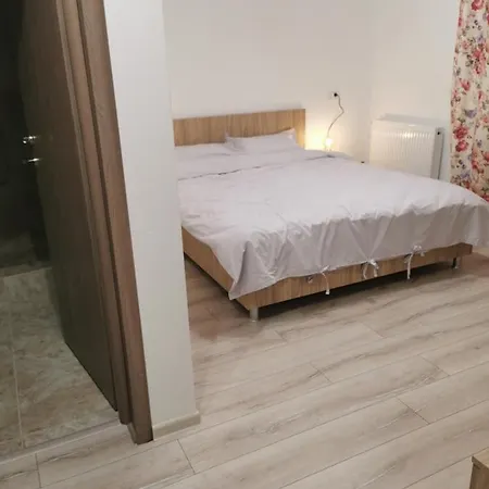 Pensiunea La Nenea Iancu