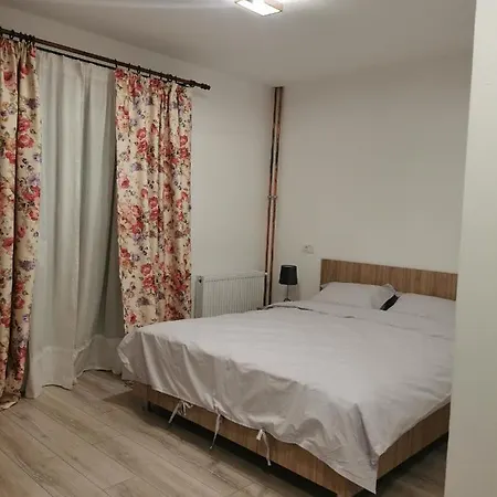 Pensiunea La Nenea Iancu Pianu de Sus