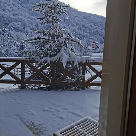 Pensiunea La Nenea Iancu *