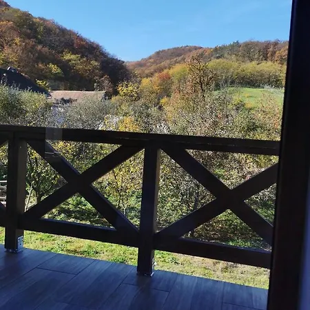 Pensiunea La Nenea Iancu * Pianu de Sus